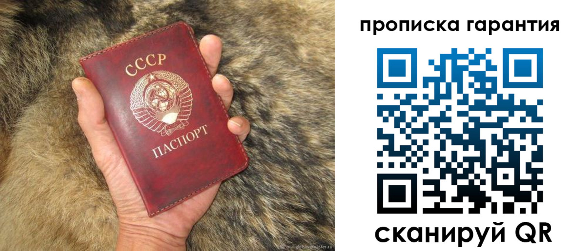 прописка паспорт в Лениногорске